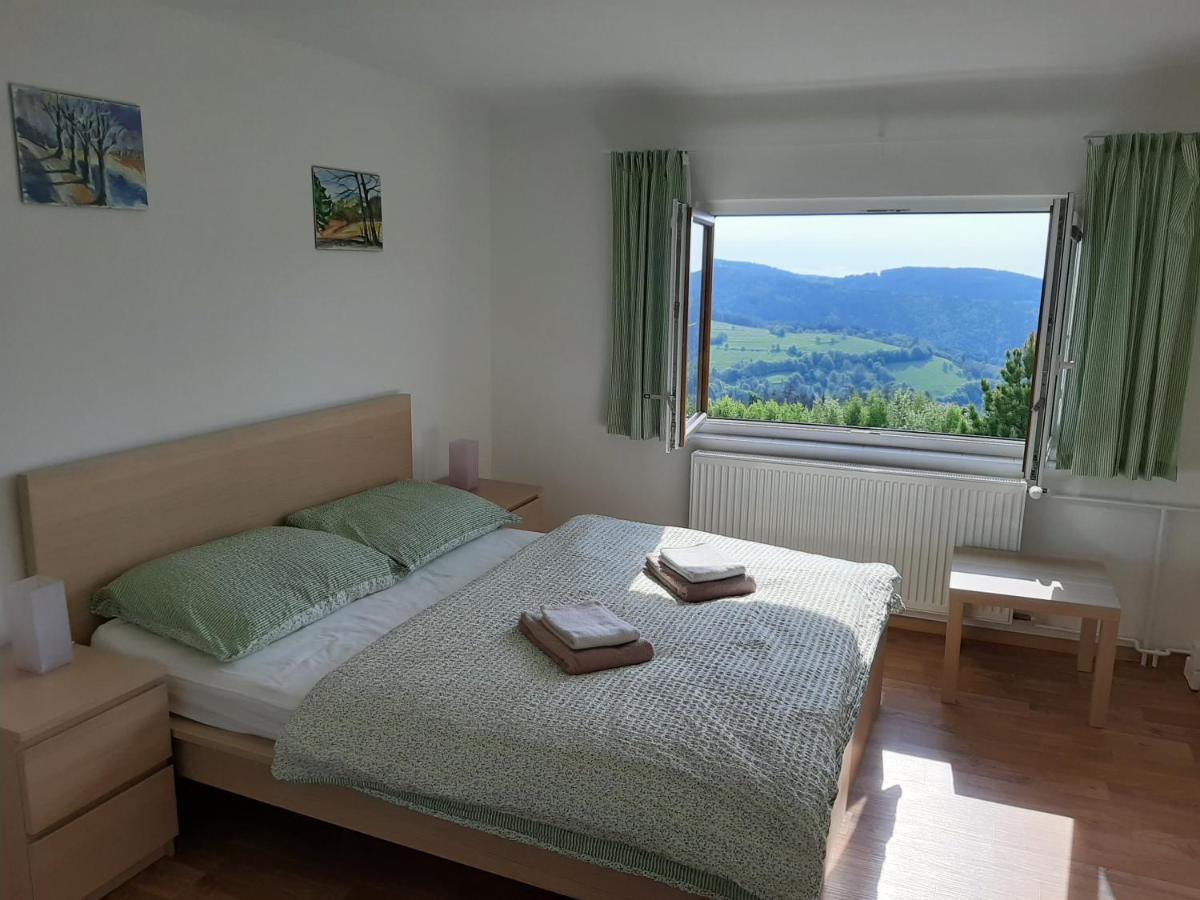 Naproti Klinovci Villa Яхимов Екстериор снимка